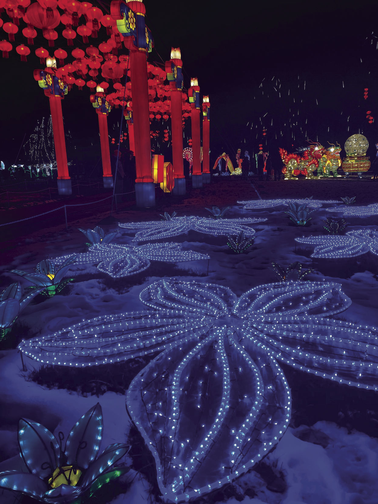 Lantern Festival 7
